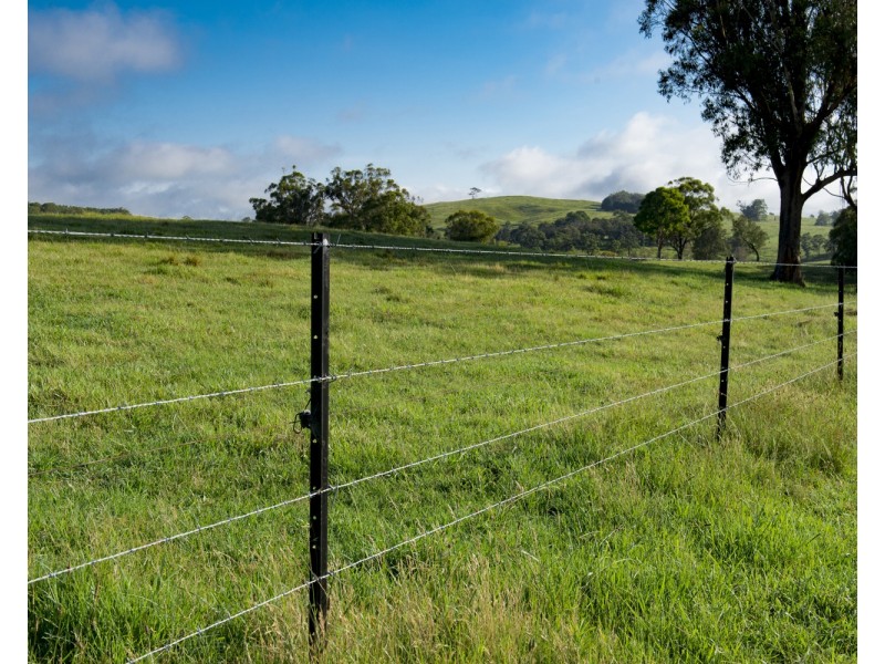 310 Timbarra Road, Tenterfield NSW 2372