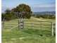 310 Timbarra Road, Tenterfield NSW 2372