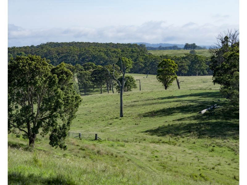 310 Timbarra Road, Tenterfield NSW 2372
