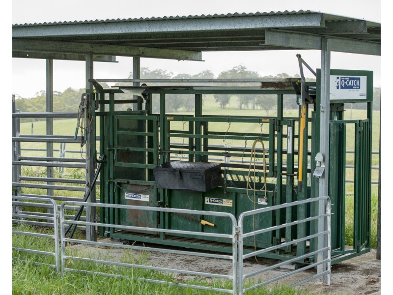 310 Timbarra Road, Tenterfield NSW 2372