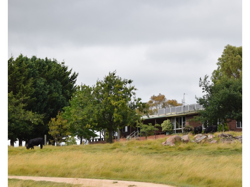 1259 Black Swamp Road, Tenterfield NSW 2372