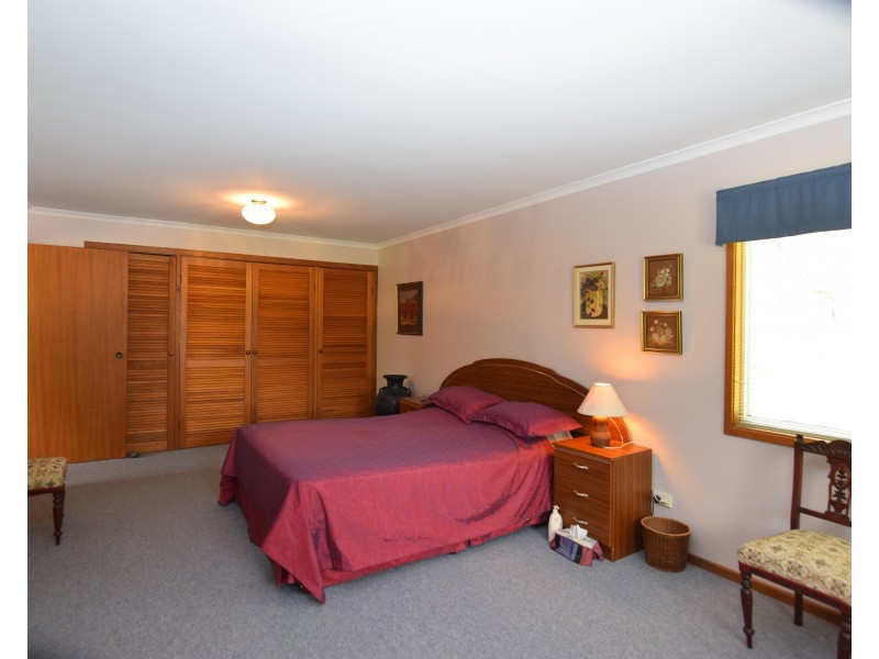 1259 Black Swamp Road, Tenterfield NSW 2372