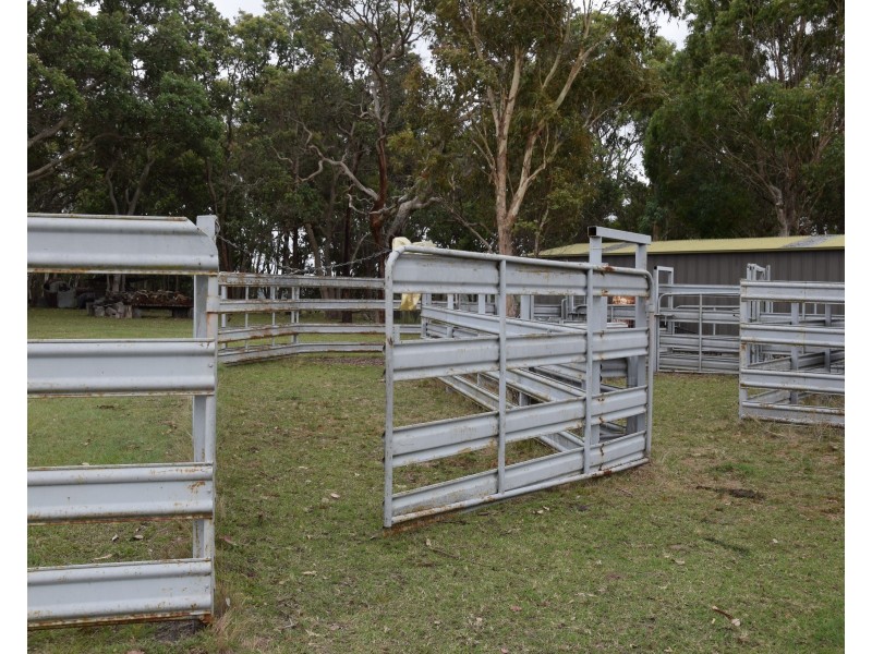 1259 Black Swamp Road, Tenterfield NSW 2372