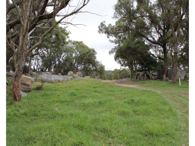 2875 Mount Lindesay Road, Tenterfield NSW 2372