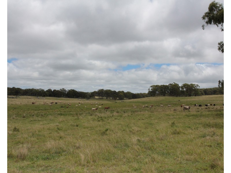 2875 Mount Lindesay Road, Tenterfield NSW 2372