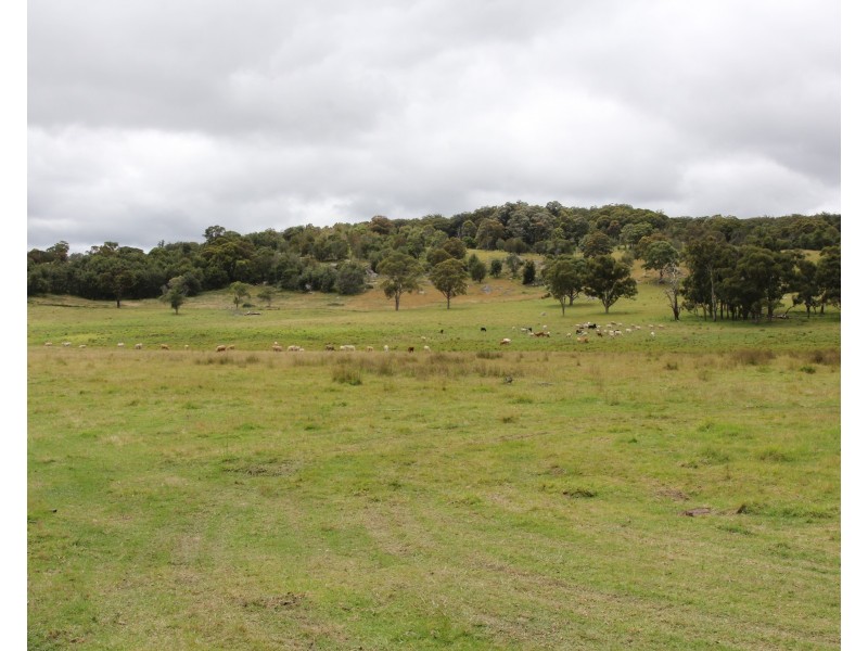 2875 Mount Lindesay Road, Tenterfield NSW 2372