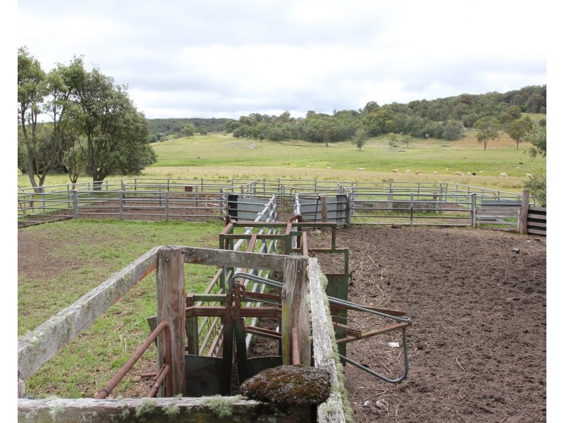 2875 Mount Lindesay Road, Tenterfield NSW 2372