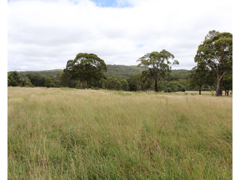 2875 Mount Lindesay Road, Tenterfield NSW 2372