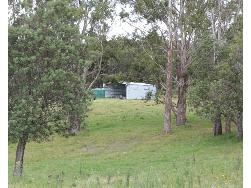 2875 Mount Lindesay Road, Tenterfield NSW 2372