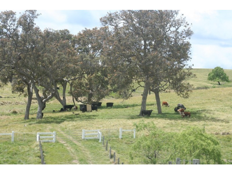 Tenterfield NSW 2372