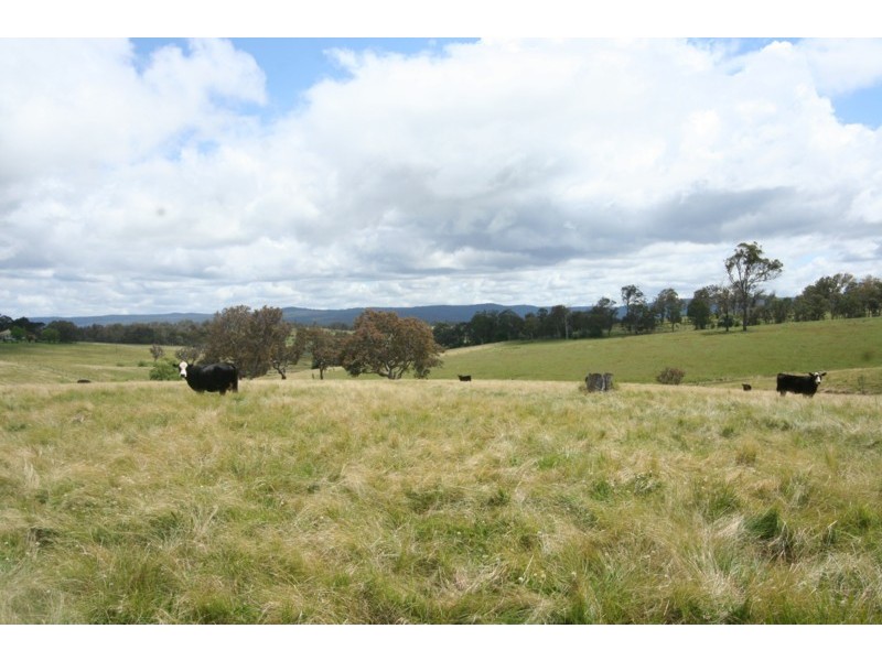 Tenterfield NSW 2372