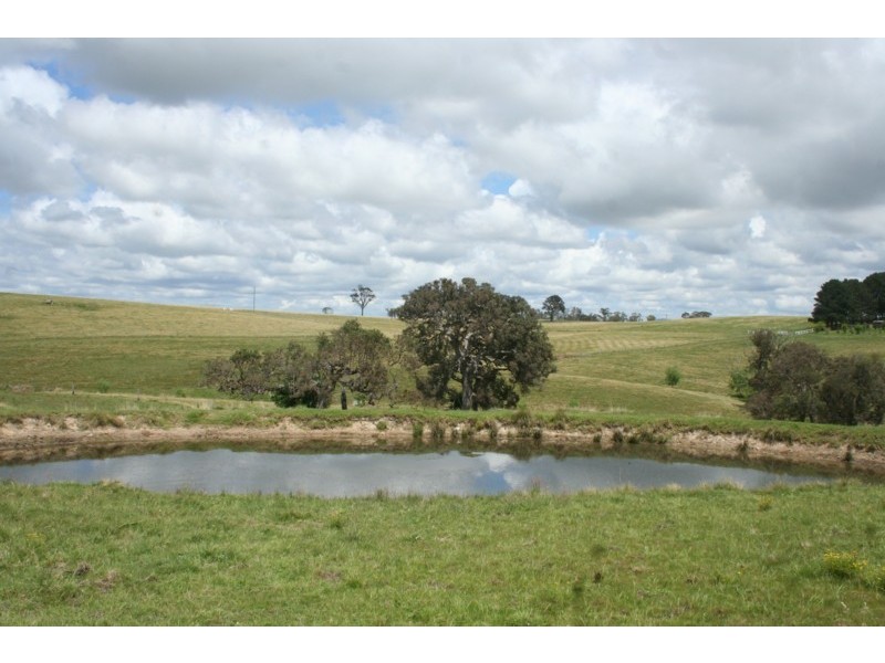 Tenterfield NSW 2372