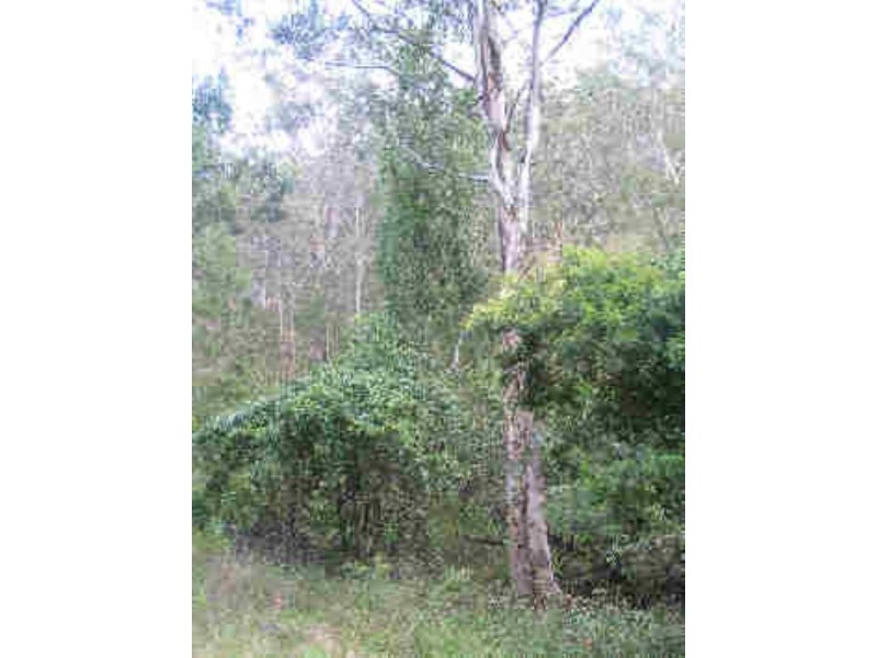 Tenterfield NSW 2372