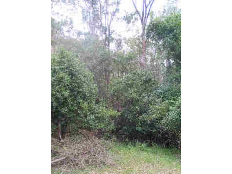 Tenterfield NSW 2372