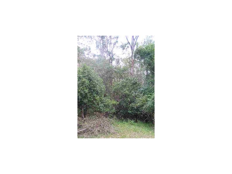 Tenterfield NSW 2372