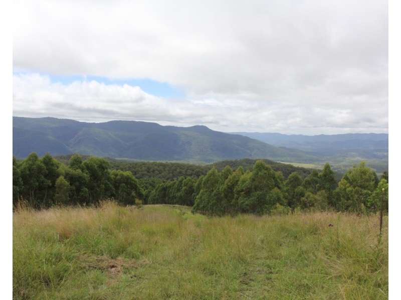 1924 Billirimba Road, Tenterfield NSW 2372