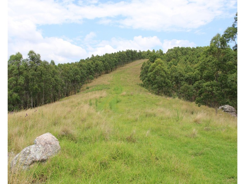 1924 Billirimba Road, Tenterfield NSW 2372