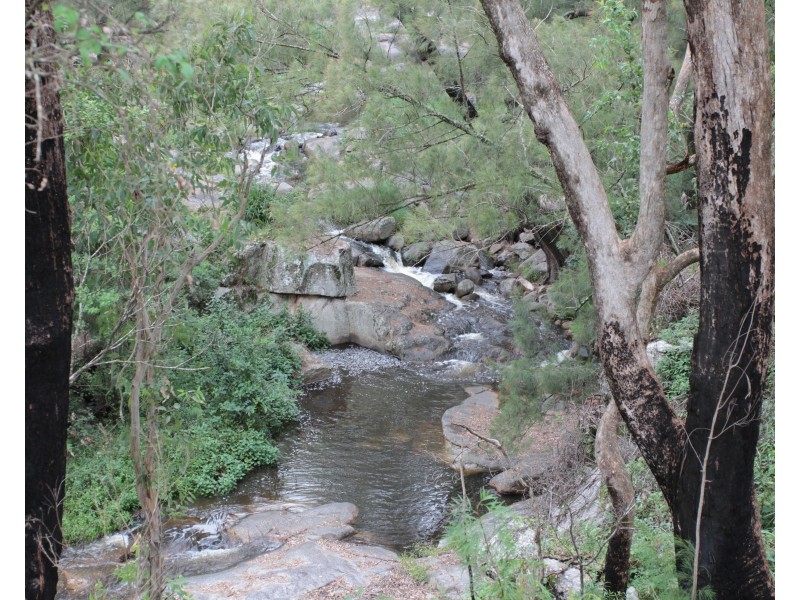 1924 Billirimba Road, Tenterfield NSW 2372