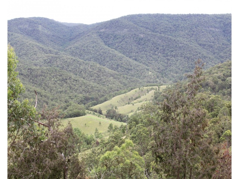 1924 Billirimba Road, Tenterfield NSW 2372