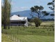 299 Mt Lindsay Road, Tenterfield NSW 2372