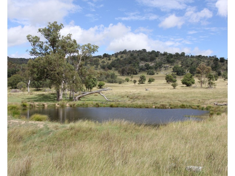 Lot  100 Frost Road, Tenterfield NSW 2372