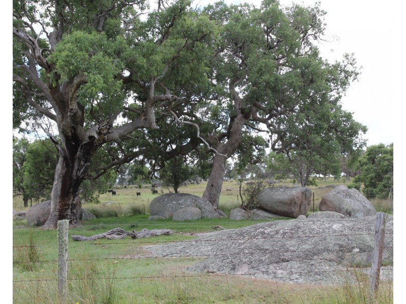 Lot  100 Frost Road, Tenterfield NSW 2372