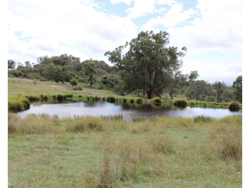 Lot  100 Frost Road, Tenterfield NSW 2372