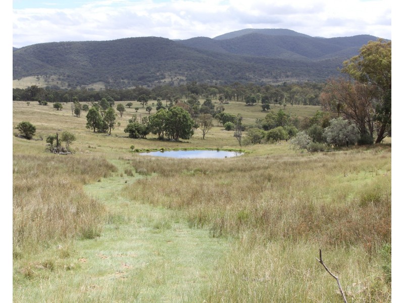 Lot  100 Frost Road, Tenterfield NSW 2372