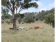 Lot  100 Frost Road, Tenterfield NSW 2372