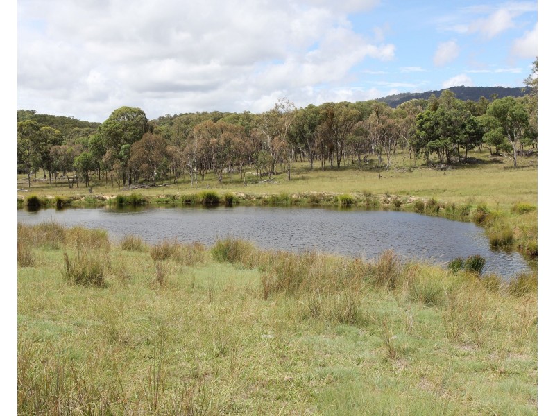 Lot  100 Frost Road, Tenterfield NSW 2372