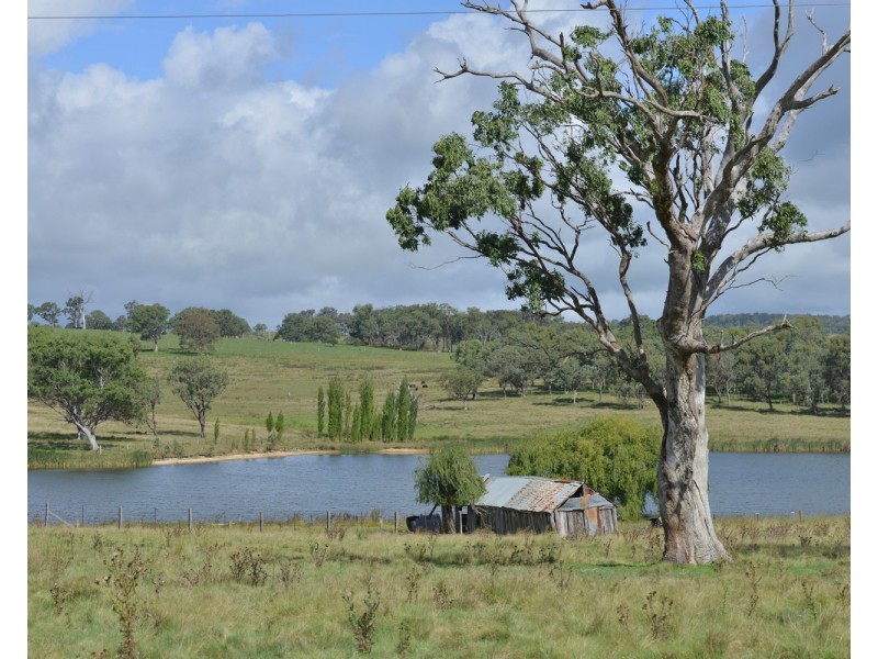 8864 New England Highway, Tenterfield NSW 2372