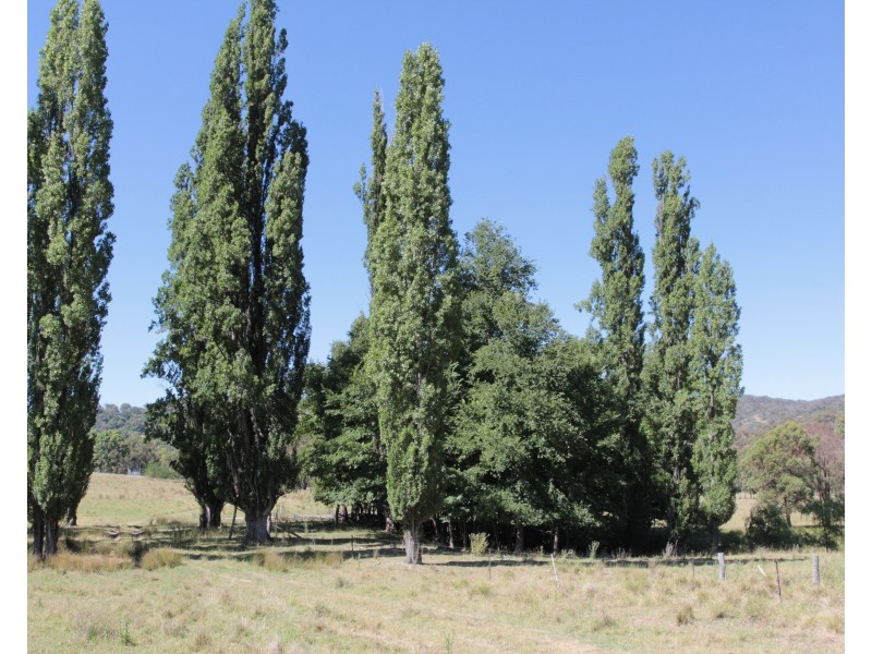 “The Glen” Tent Hill Road, Torrington NSW 2371