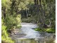 Lot 31 Mole River Road, Tenterfield NSW 2372
