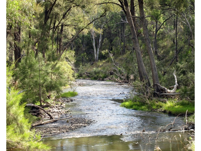 Lot 31 Mole River Road, Tenterfield NSW 2372