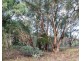 Lot 31 Mole River Road, Tenterfield NSW 2372