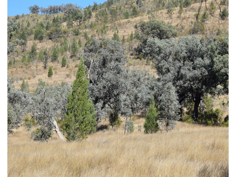 Tenterfield NSW 2372