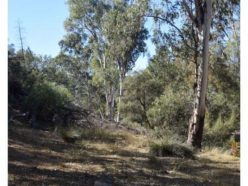 Tenterfield NSW 2372