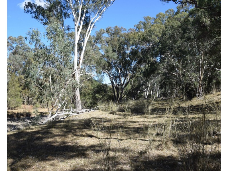 Tenterfield NSW 2372