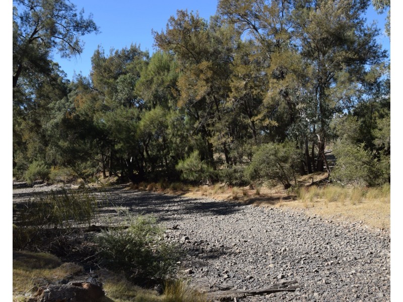 Tenterfield NSW 2372