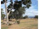59 SCHRODERS Road, Tenterfield NSW 2372