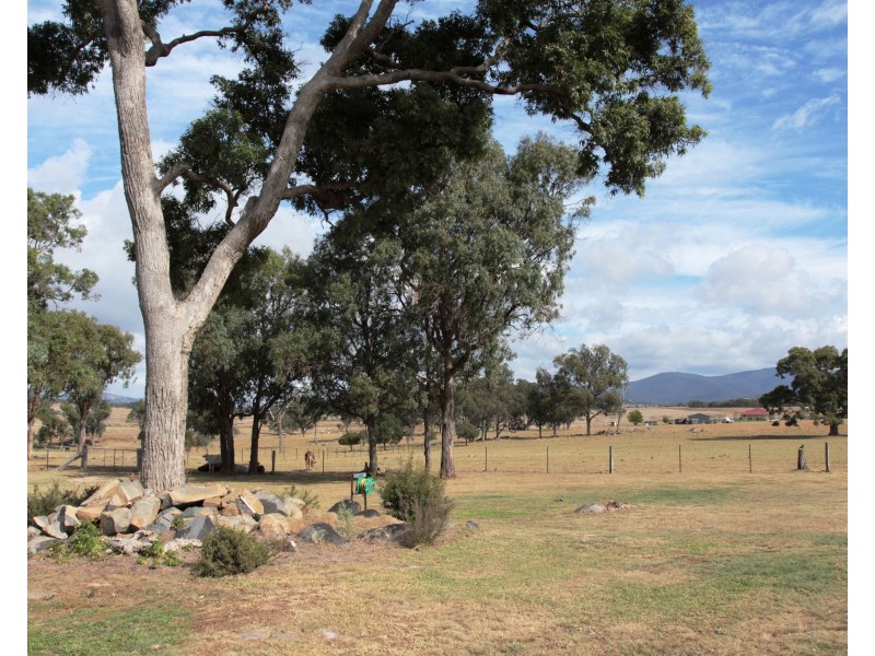 59 SCHRODERS Road, Tenterfield NSW 2372