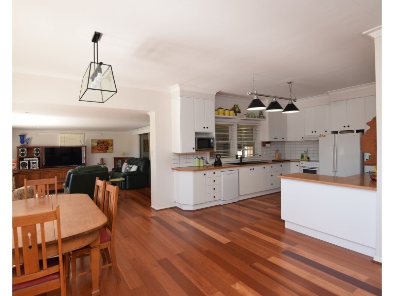 456 Mount Lindesay Road, Tenterfield NSW 2372