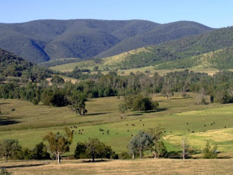 Tenterfield NSW 2372