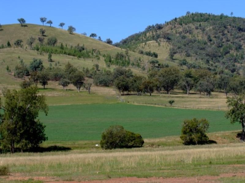 Tenterfield NSW 2372