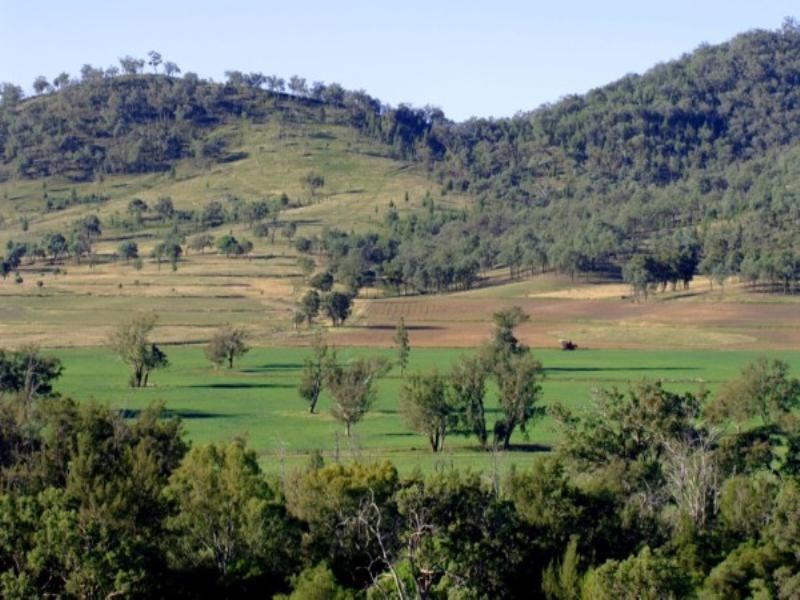 Tenterfield NSW 2372