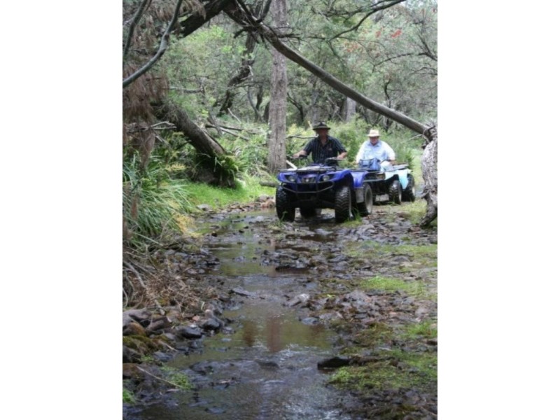 Tenterfield NSW 2372