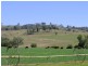 Tenterfield NSW 2372