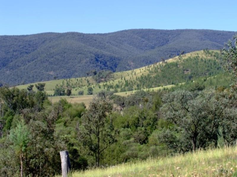 Tenterfield NSW 2372