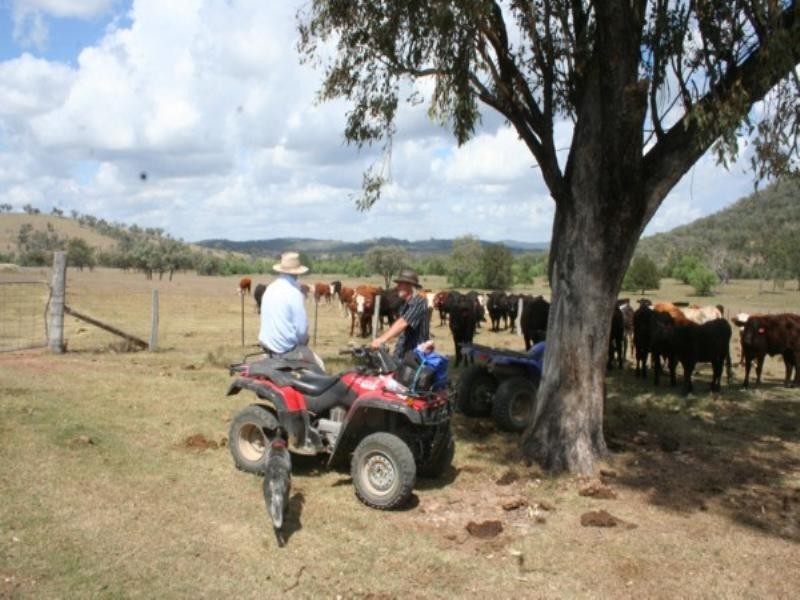 Tenterfield NSW 2372