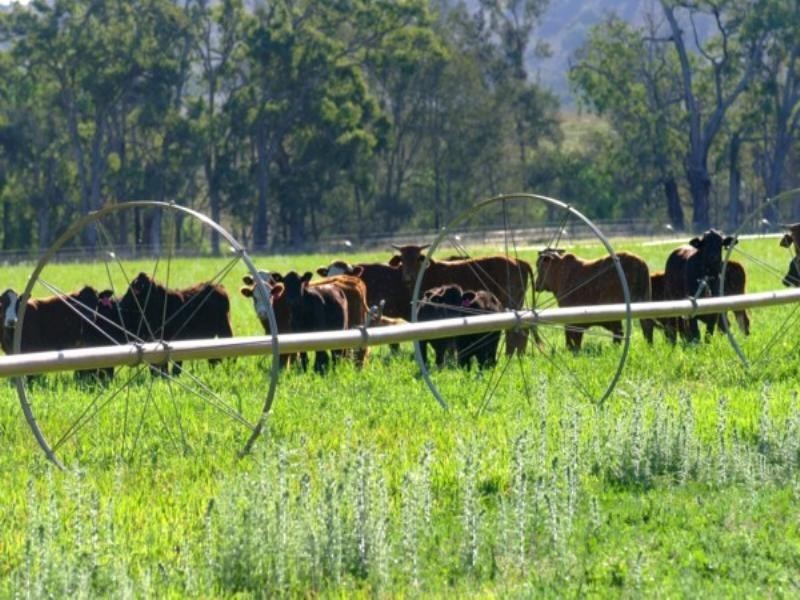 Tenterfield NSW 2372